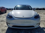 Tesla Model Y 2020