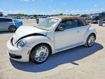 Volkswagen Beetle 2014