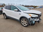 Ford Escape 2013