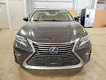 Lexus  2016