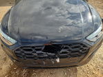 Audi Q5 2024