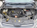 Ford Escape 2014