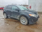 Ford Edge 2011