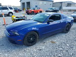 Ford Mustang 2014