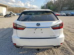 Lexus RX 2021