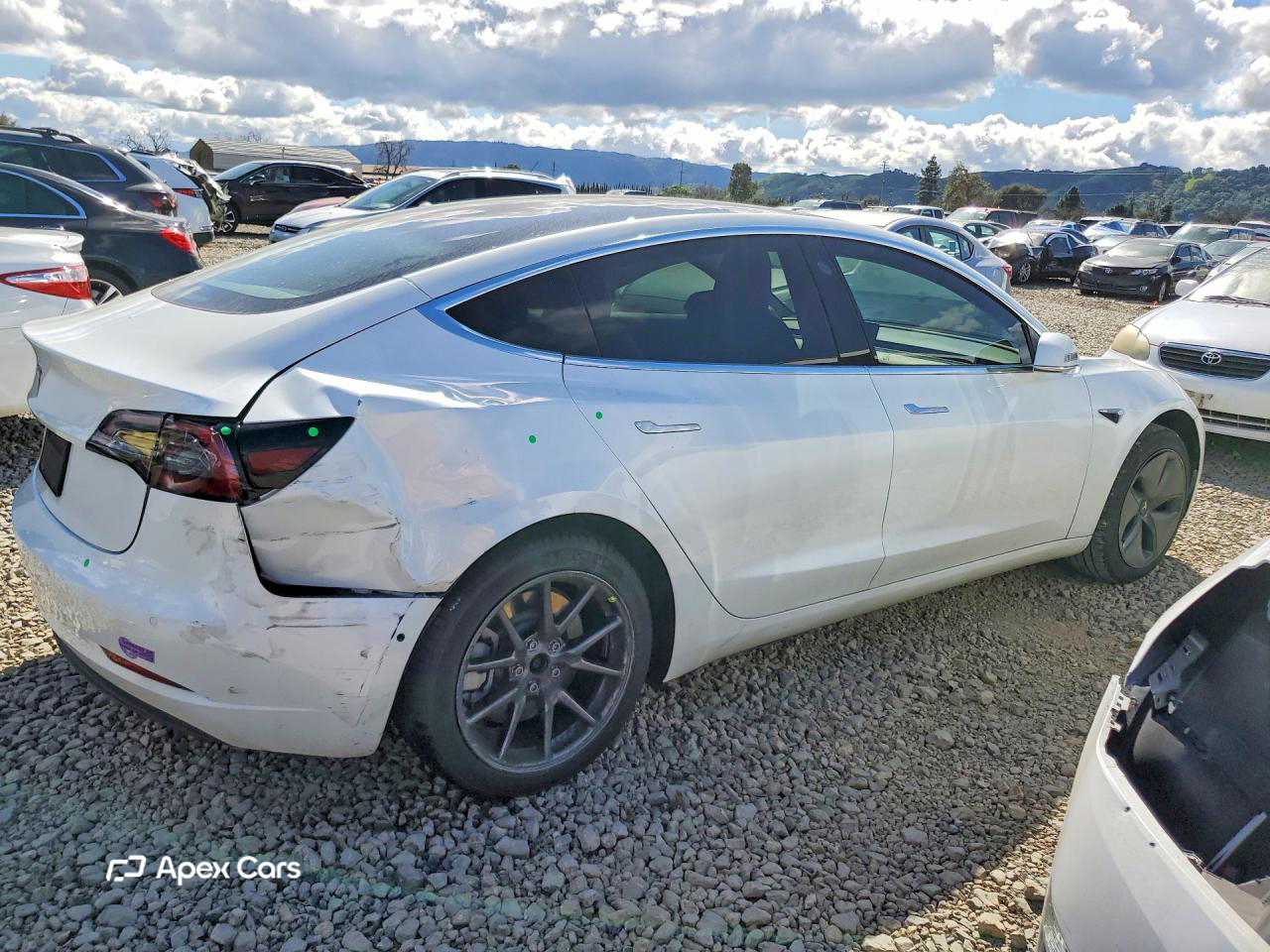 Tesla Model 3 2019