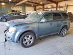 Ford Escape 2010