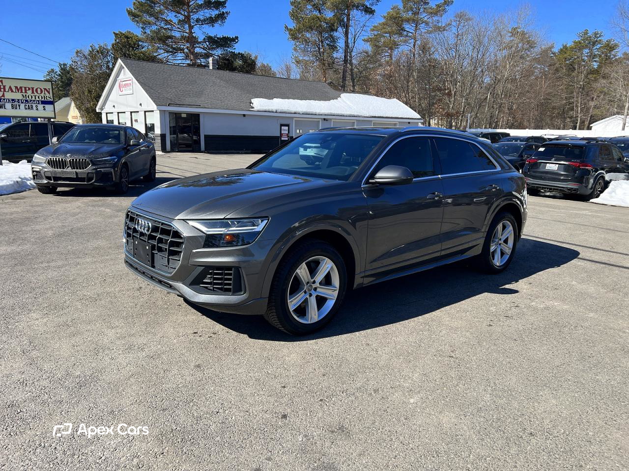 Audi Q8 2019
