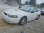 Ford Mustang 2001