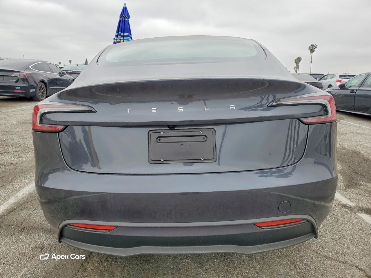 Tesla Model 3 2025