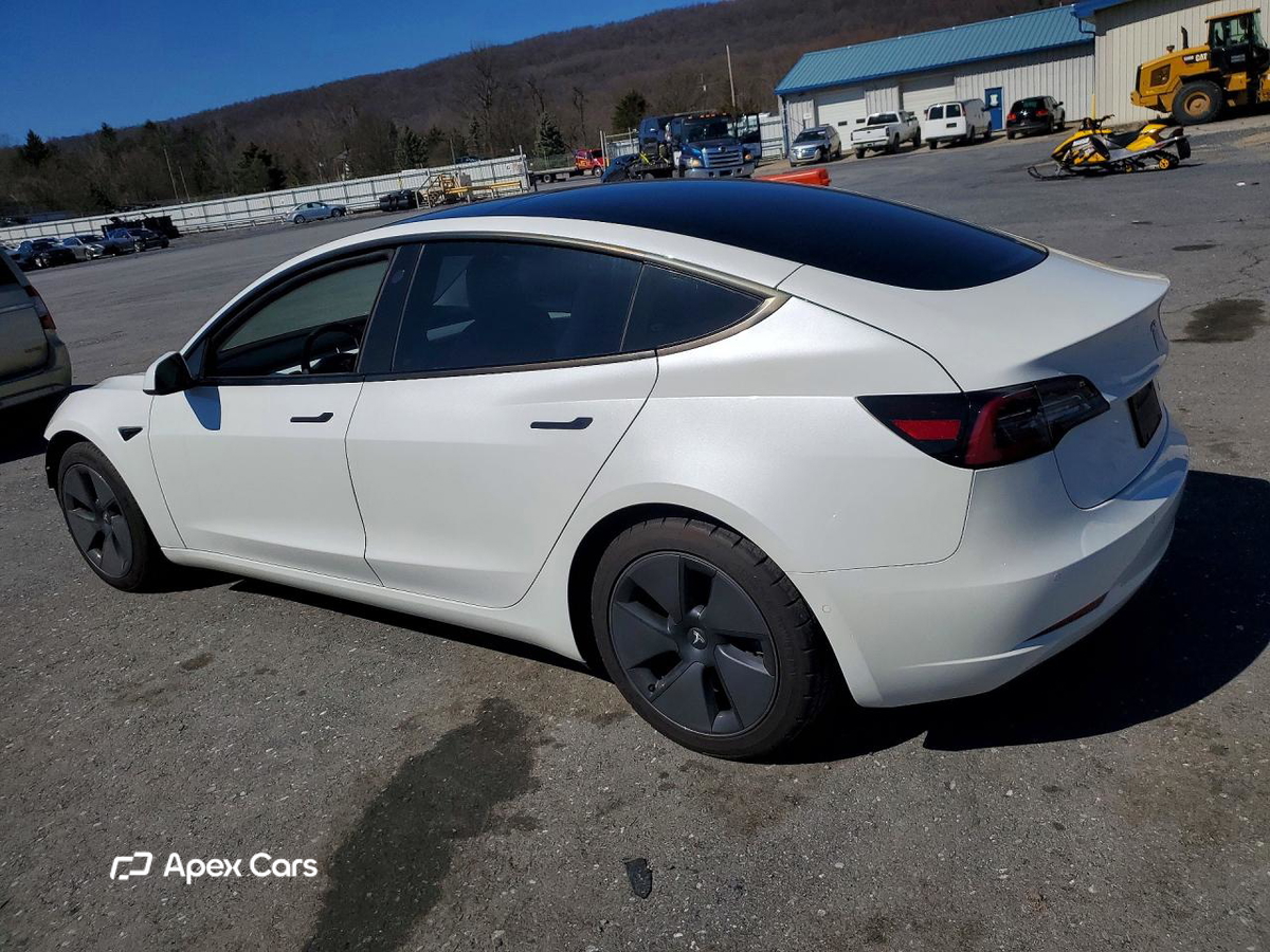 Tesla Model 3 2021