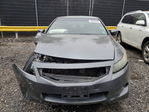 Honda Accord 2009