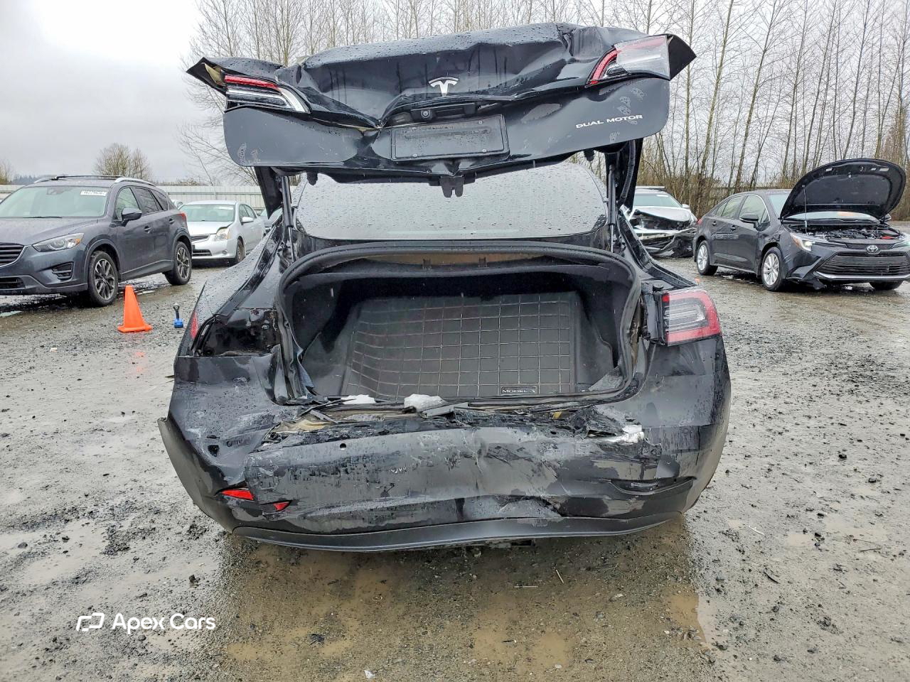 Tesla Model 3 2019