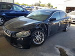 Nissan Maxima 2013