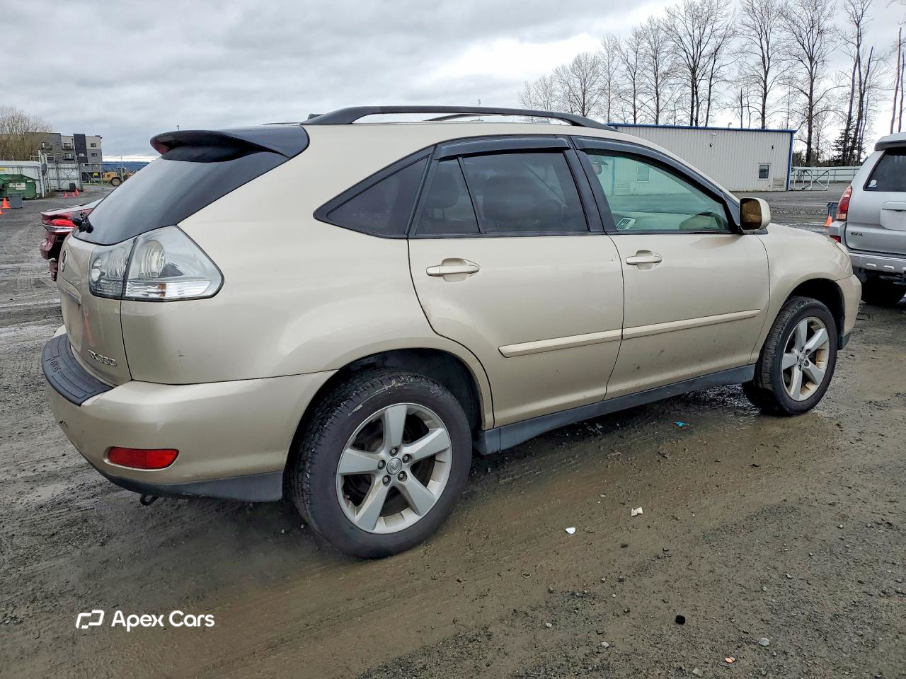 Lexus RX 2004