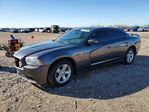 Dodge Charger 2014