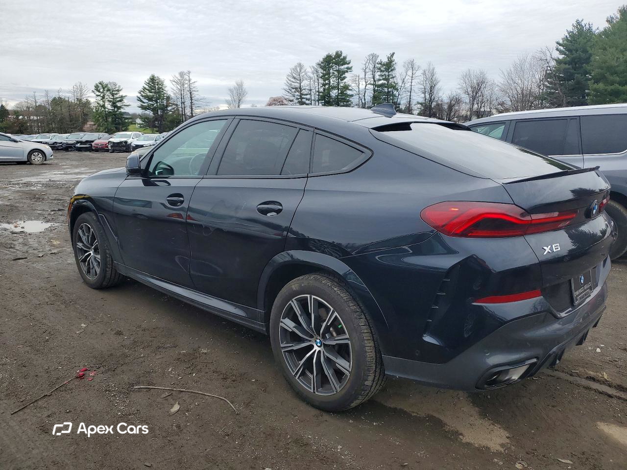 BMW X6 2023