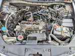 Honda Accord 2010