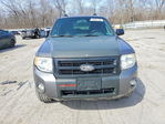 Ford Escape 2011