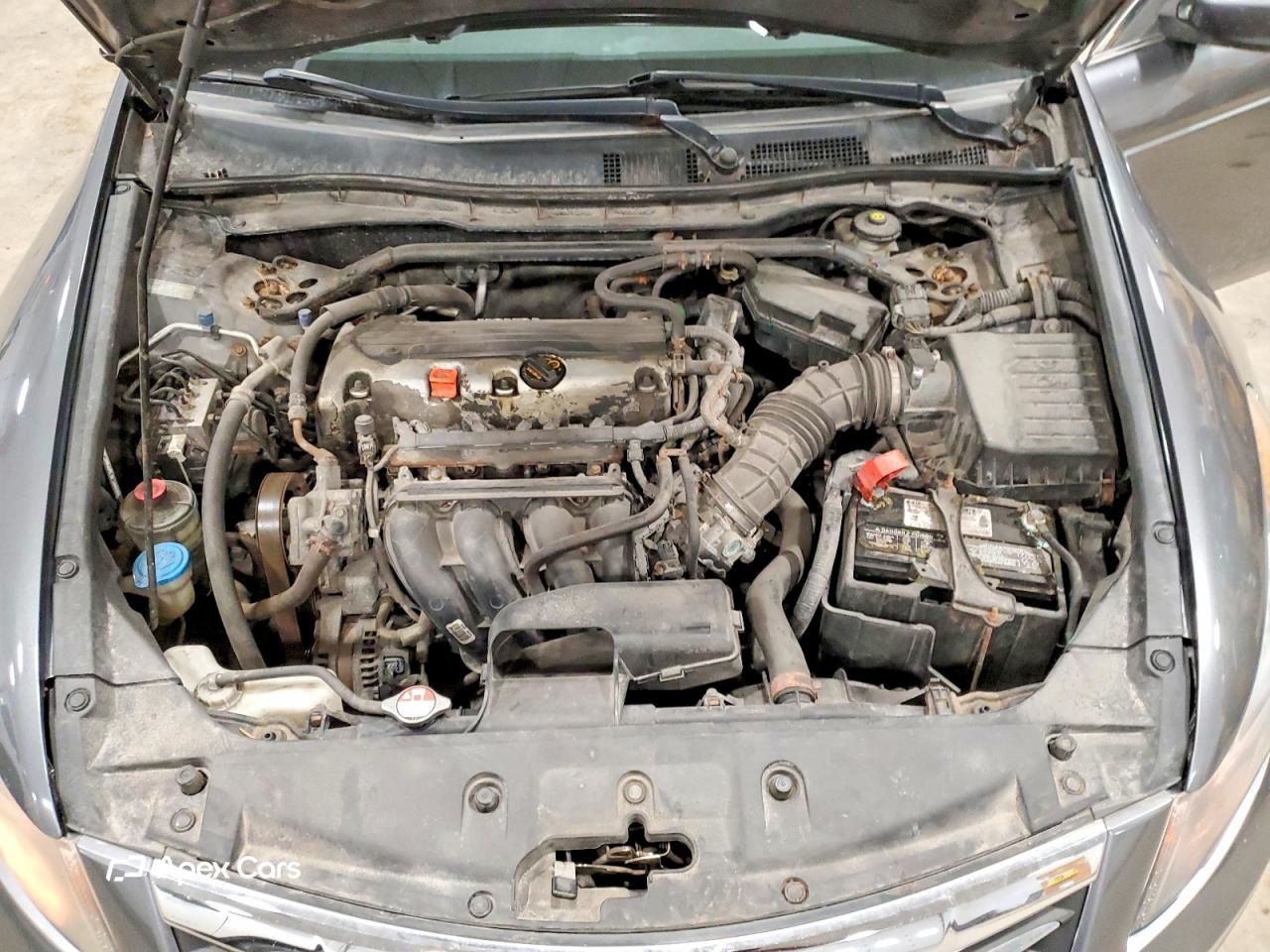 Honda Accord 2011