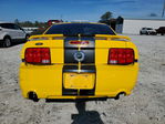 Ford Mustang 2005