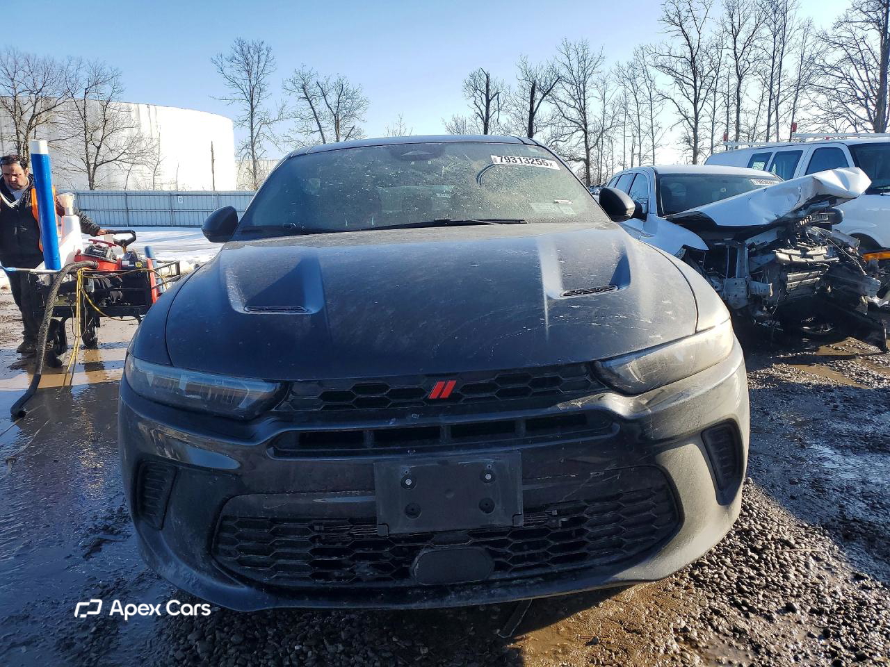Dodge Hornet 2023