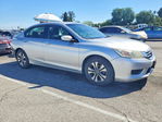 Honda Accord 2013