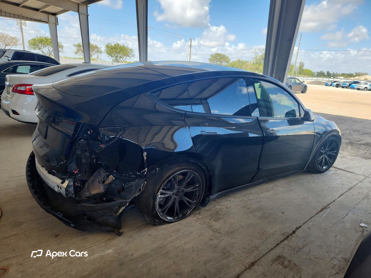 Tesla Model Y 2024