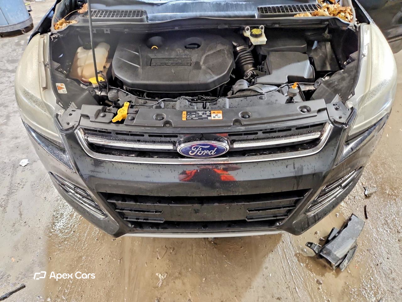 Ford Escape 2014