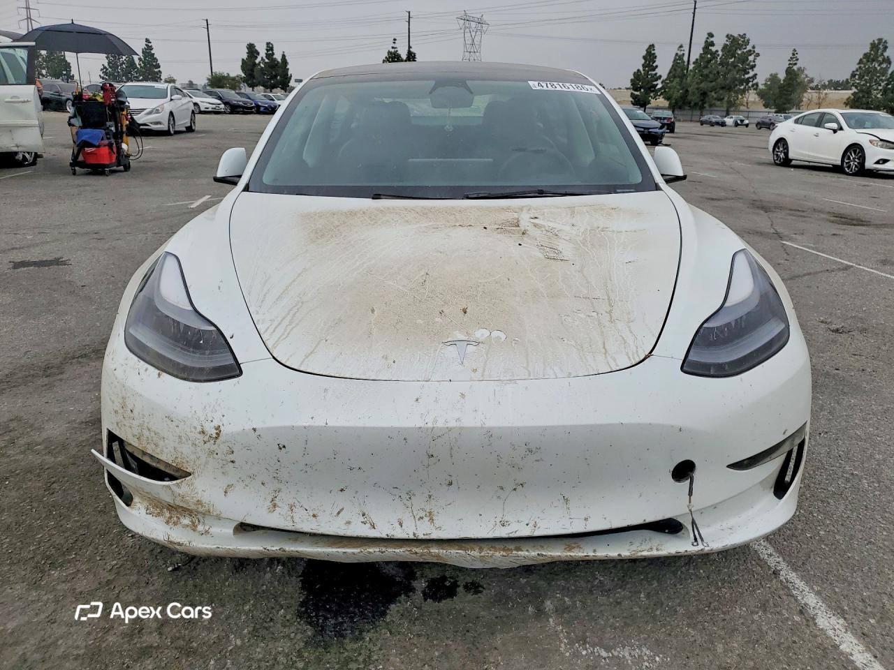 Tesla Model 3 2023