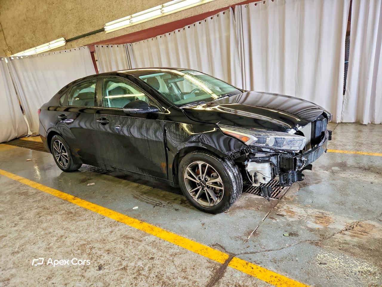 Kia Forte 2024