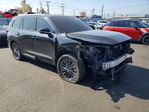 Lexus TX 2026