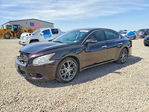 Nissan Maxima 2010