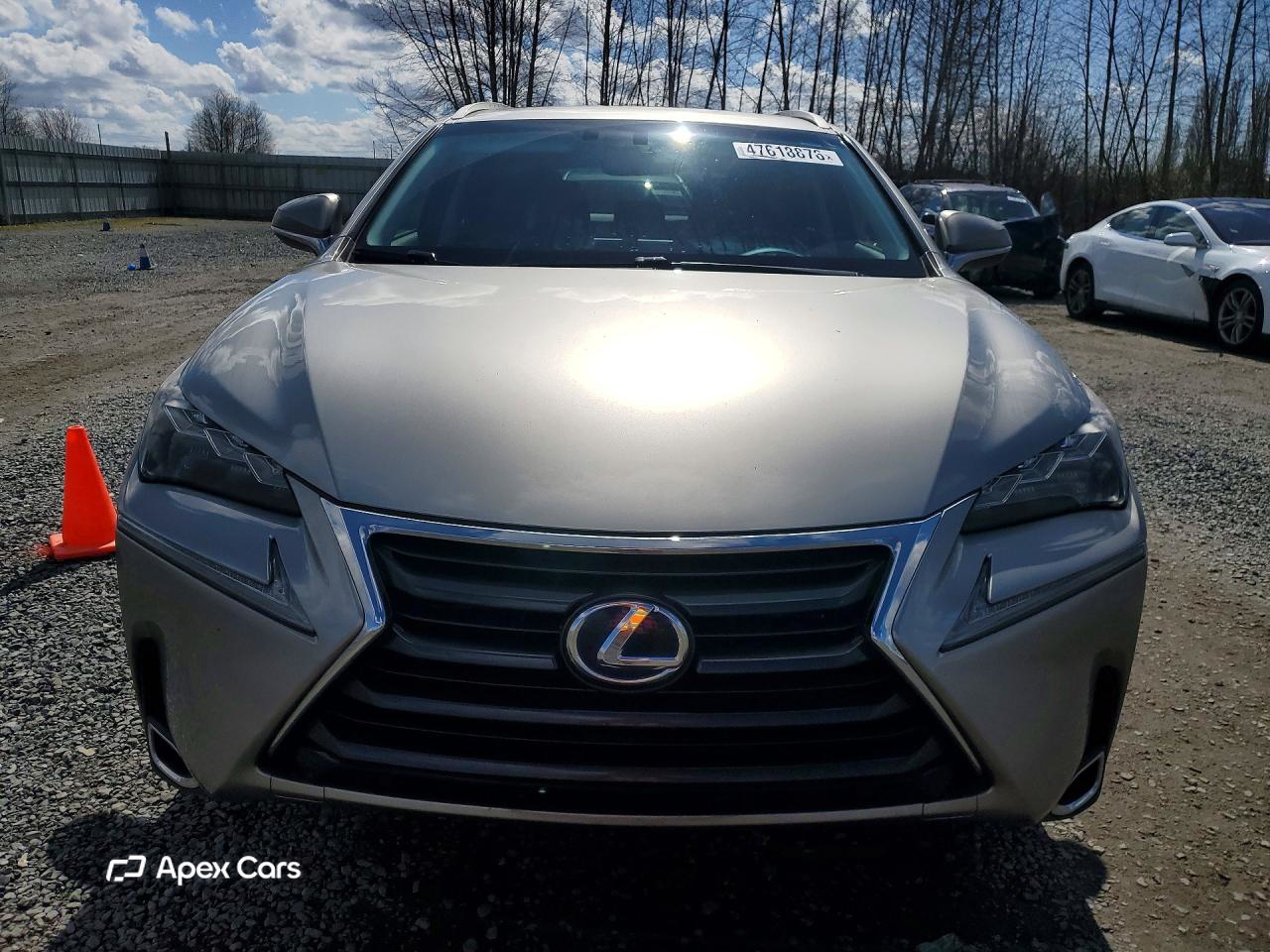 Lexus NX 2015