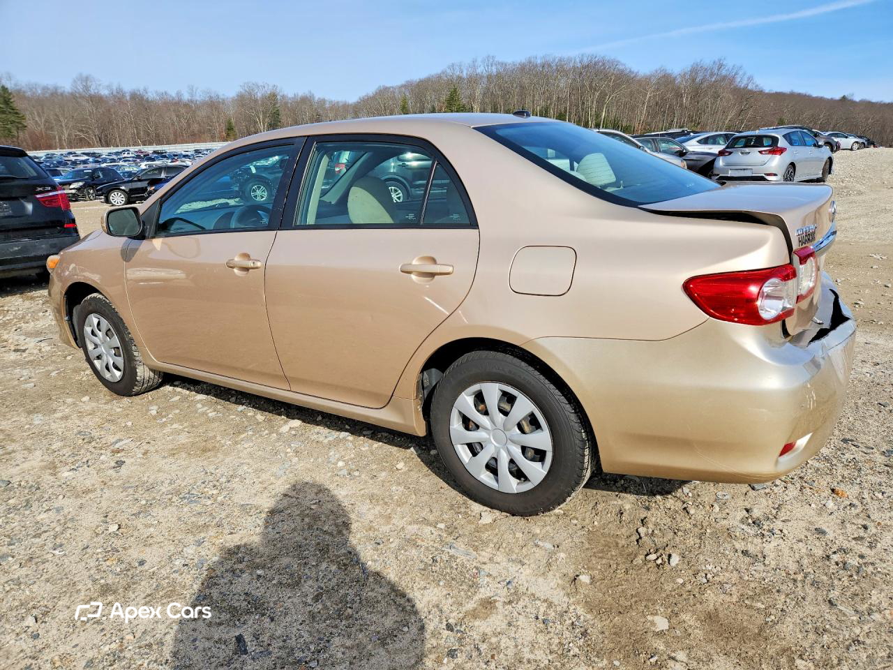 Toyota Corolla 2011