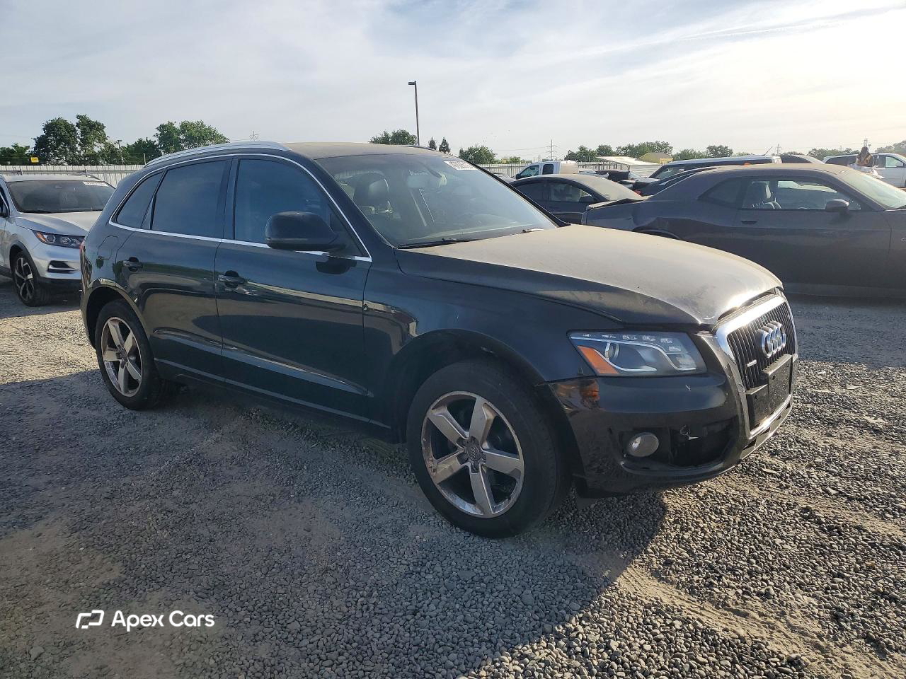 Audi Q5 2009