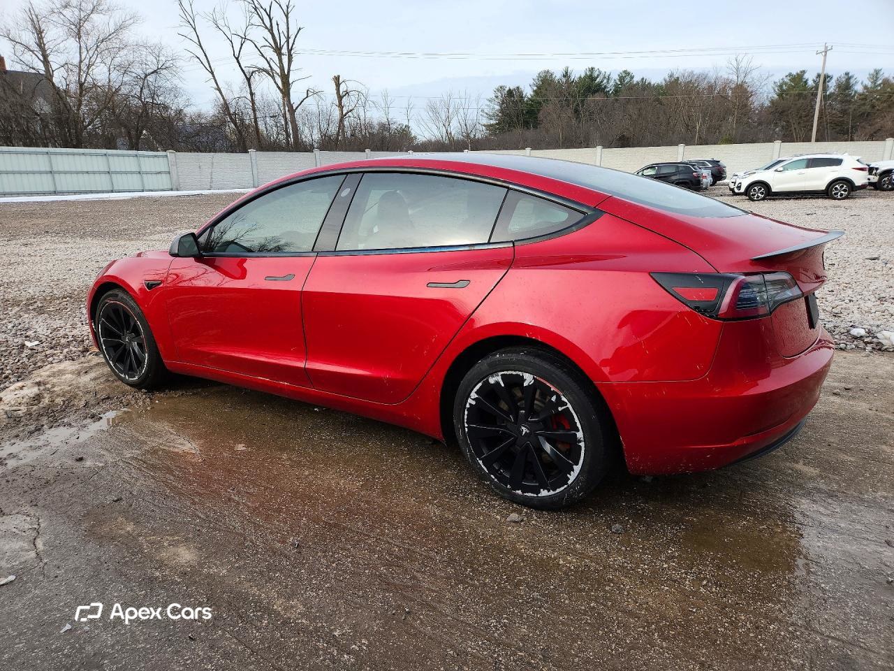 Tesla Model 3 2021