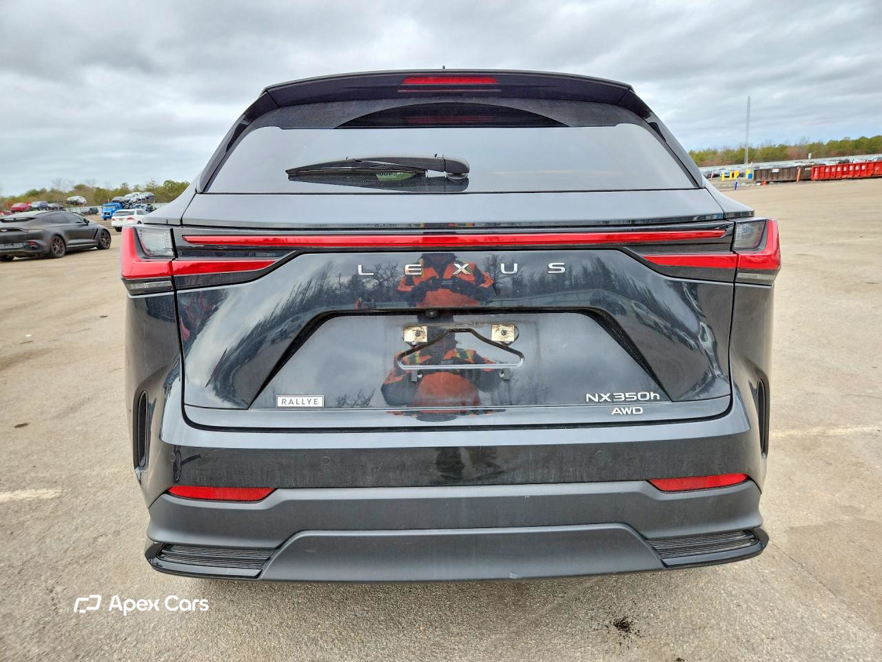 Lexus NX 2024