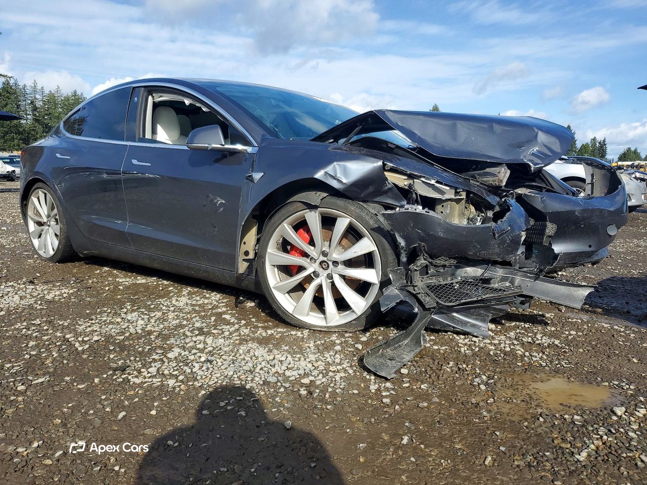 Tesla Model 3 2019