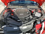 Audi RS4 2024