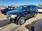 Ford Escape 2011