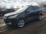 Ford Escape 2013