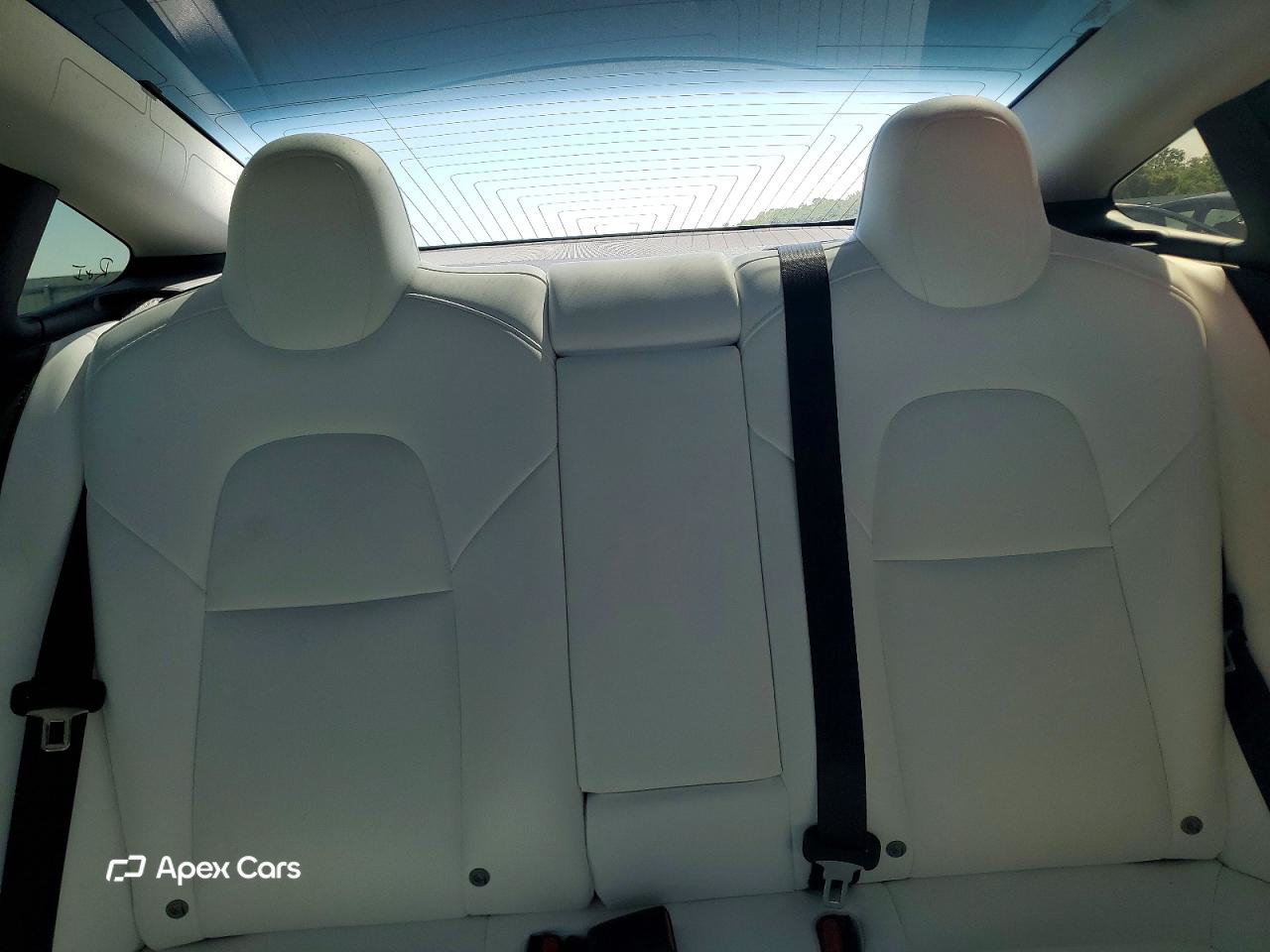 Tesla Model 3 2020