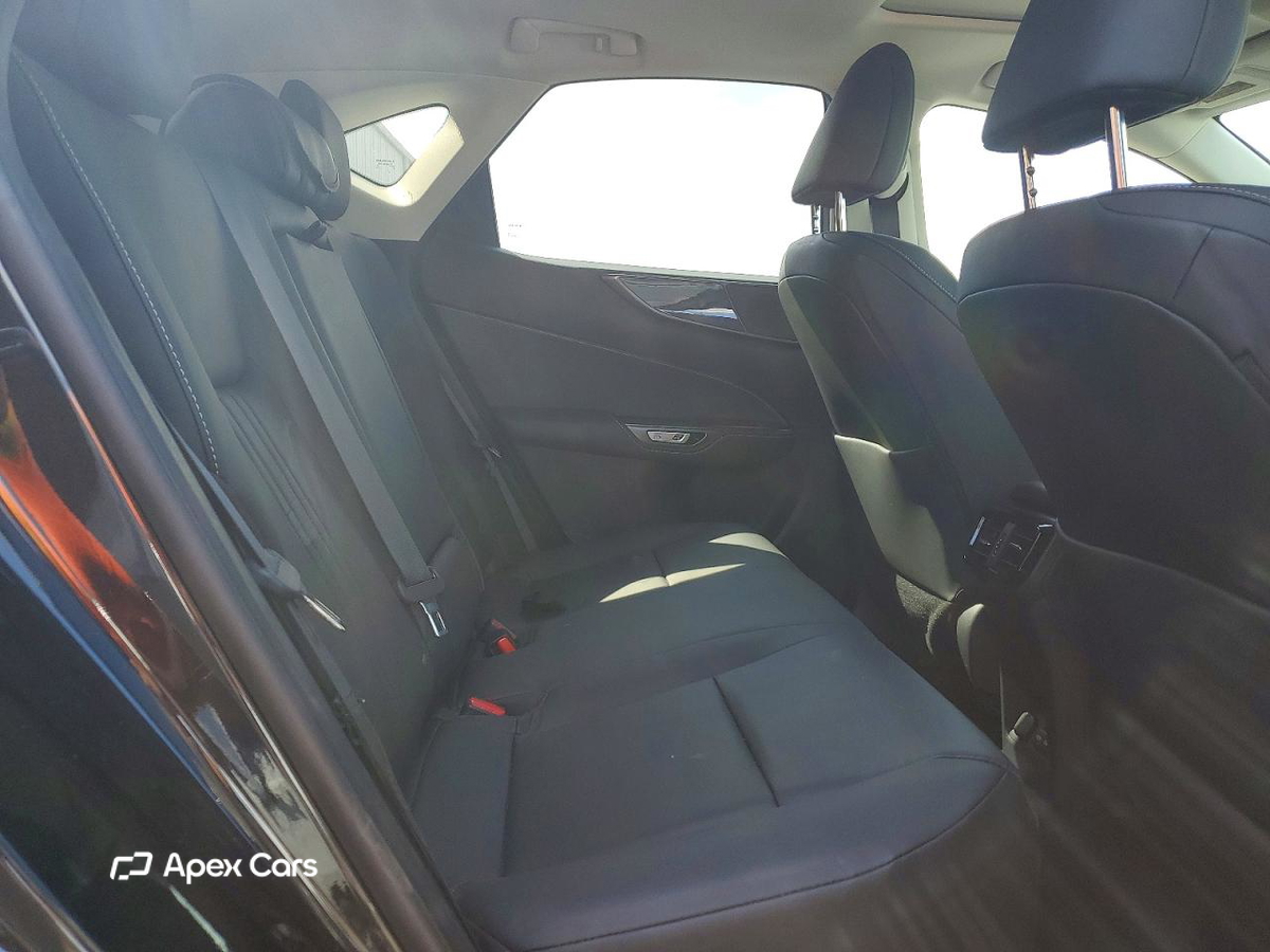 Lexus NX 2022