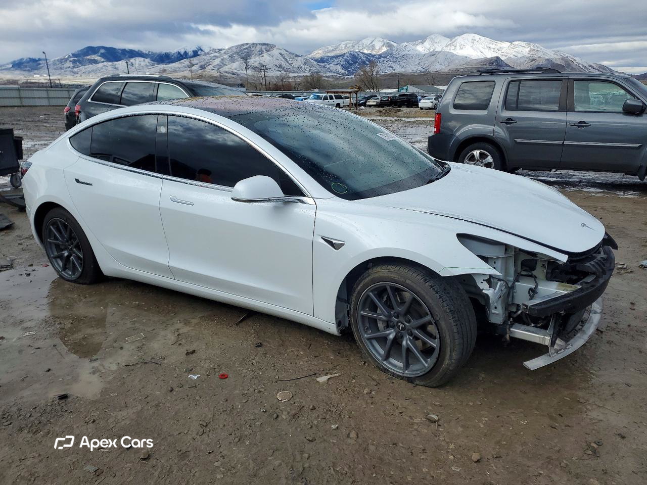 Tesla Model 3 2018