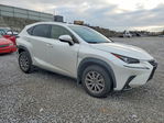 Lexus NX 2020