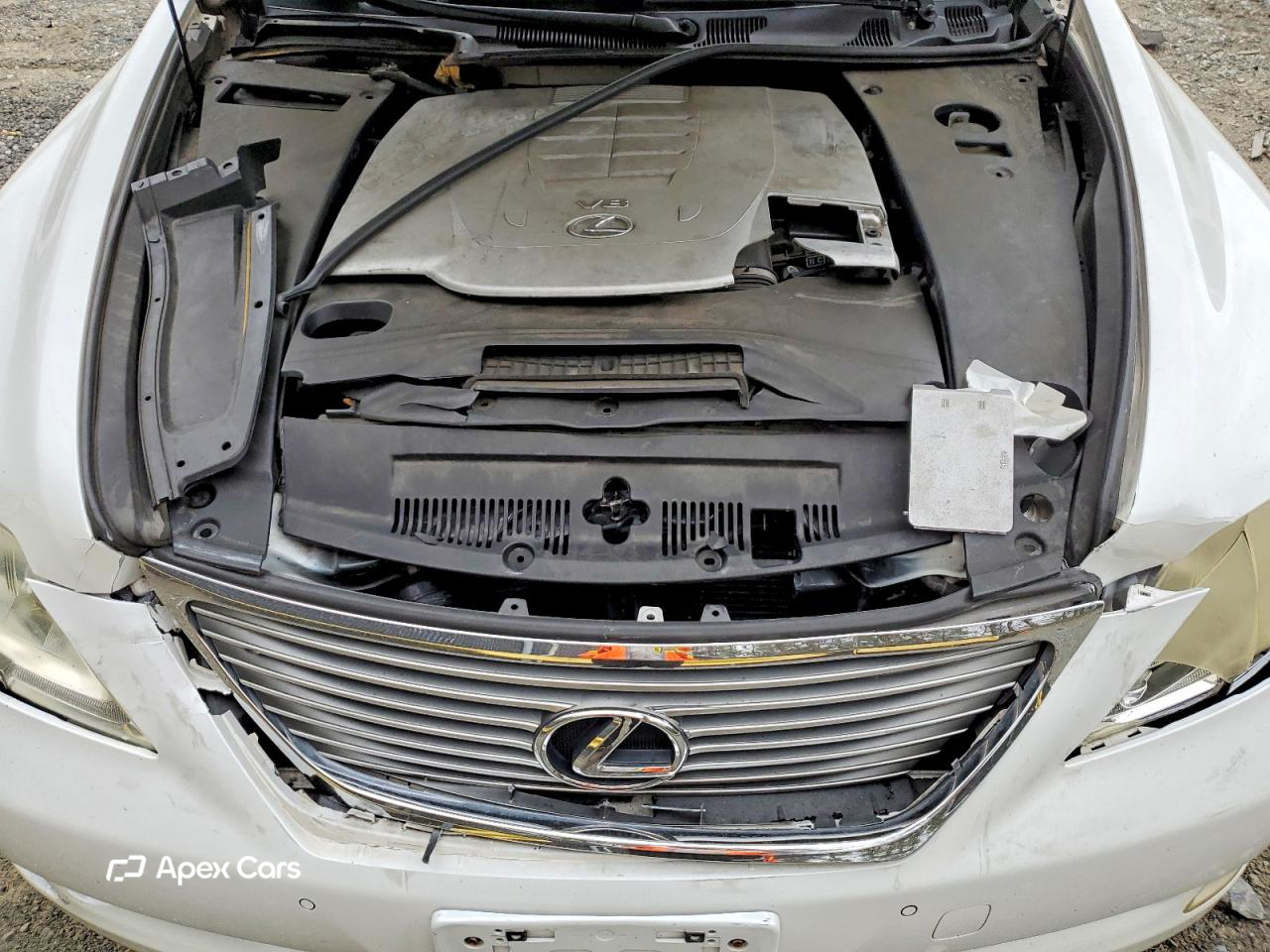 Lexus LS 2008