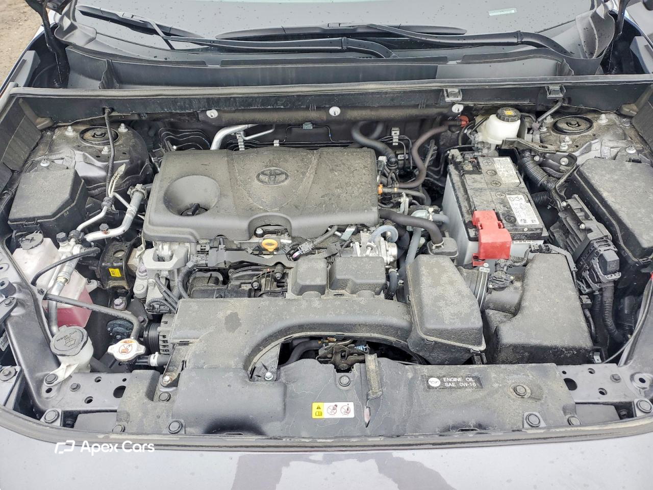 Toyota RAV 4 2024