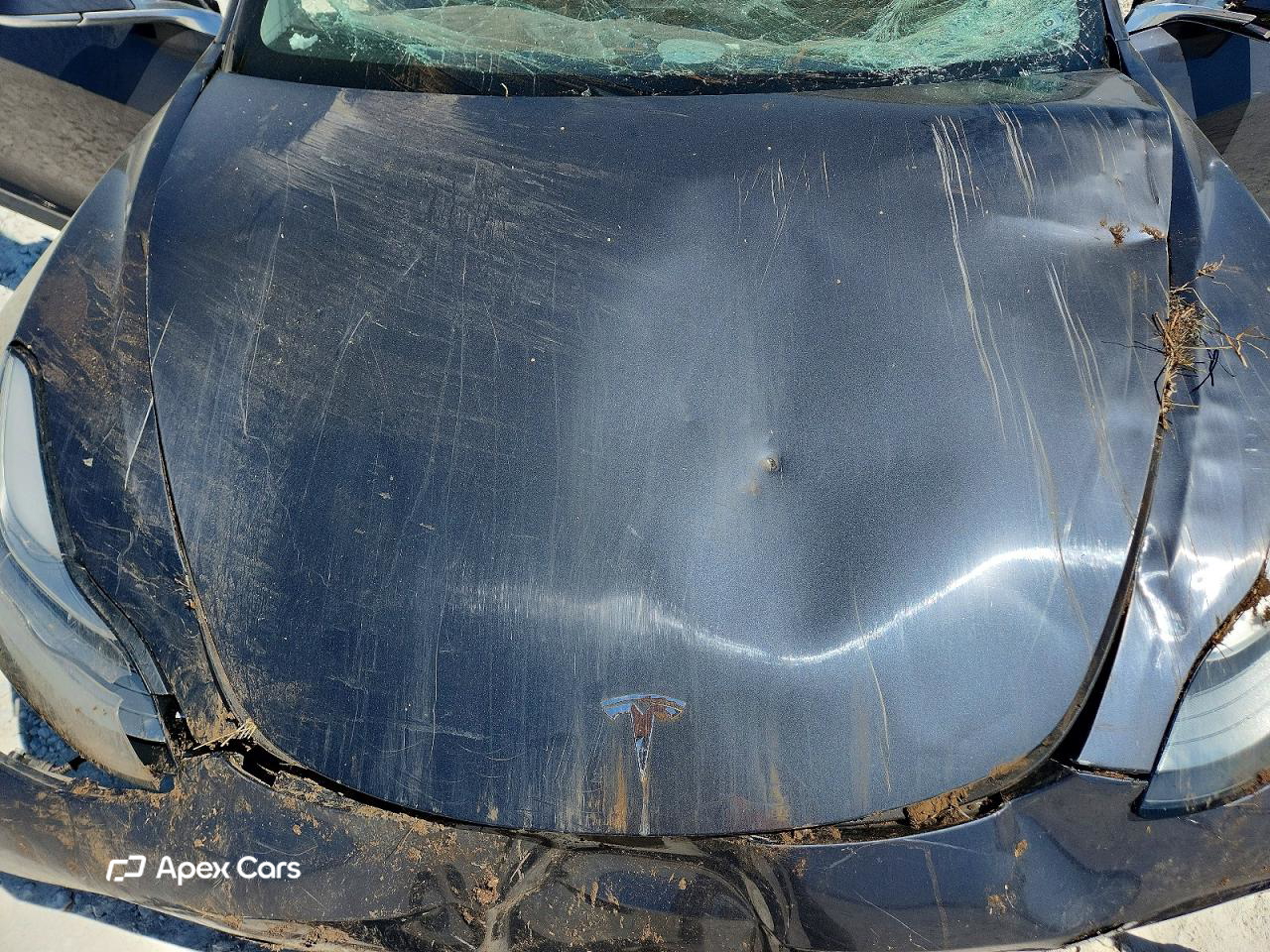 Tesla Model 3 2019