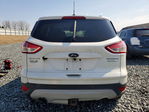 Ford Escape 2013